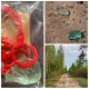 Двойная Искра